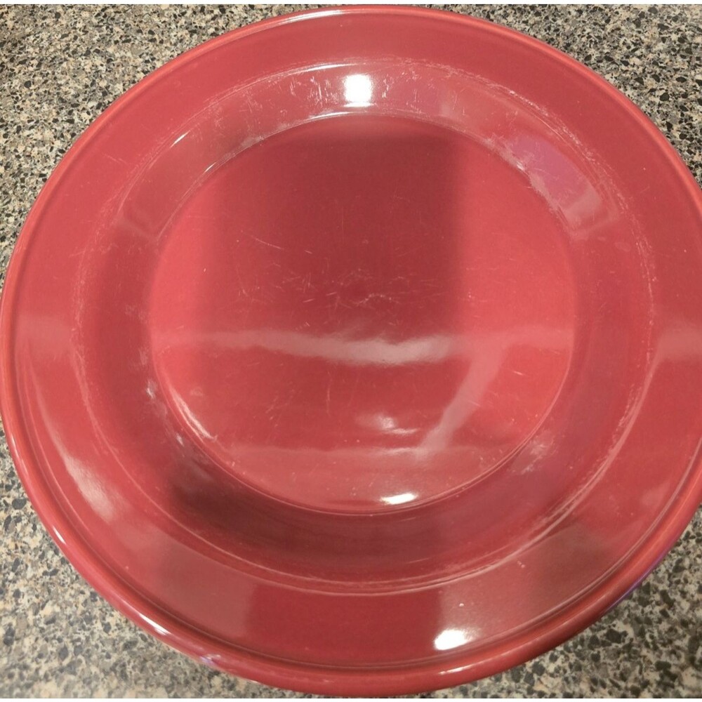 Henn Workshops cranberry Red Glossy Stoneware  Solid Dinner Plates 2-Piece Set